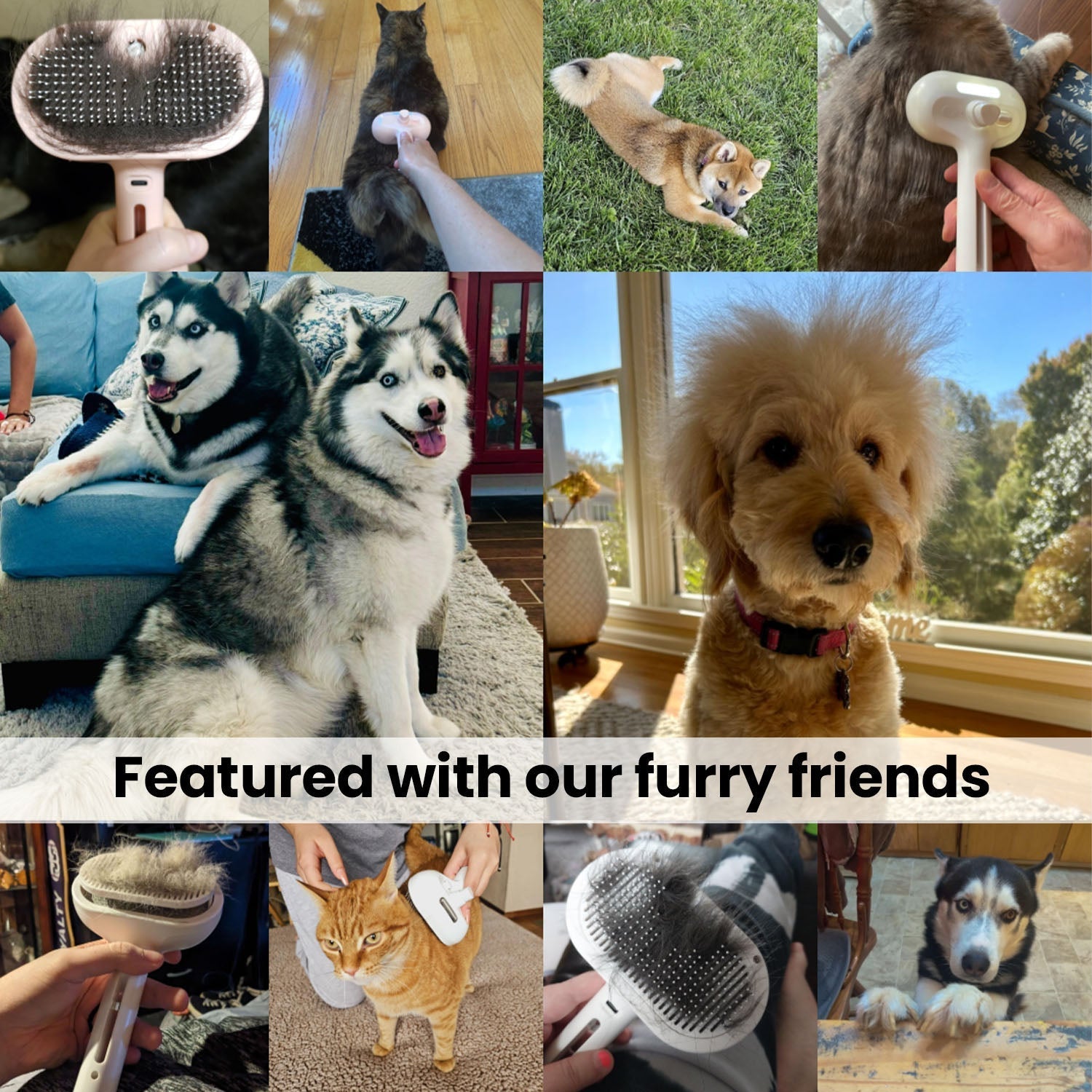 Pawlish™ Haustier-Pflegebürste