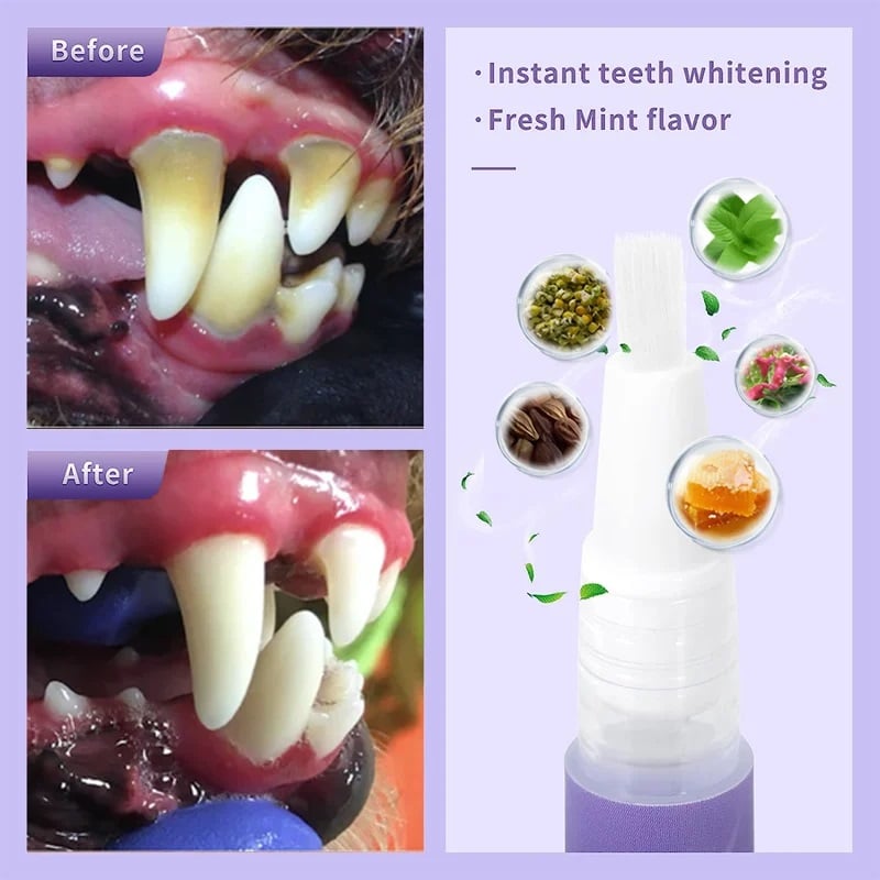 VitaSmile™ - Verwandeln Sie das Lächeln Ihres Haustieres mit schmerzfreier Frische