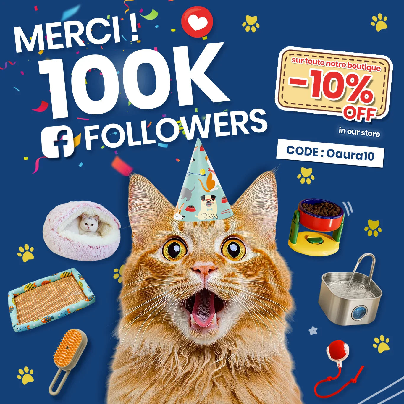 Interaktives Katzenspielzeug Vogel - Pioucat