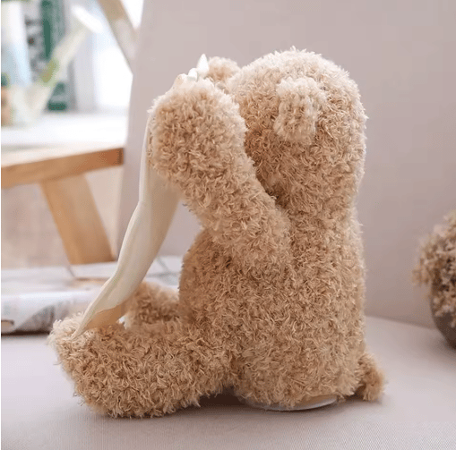 Süßer Peek-a-Boo Teddybär – Das perfekte Kuscheltier für Kinder
