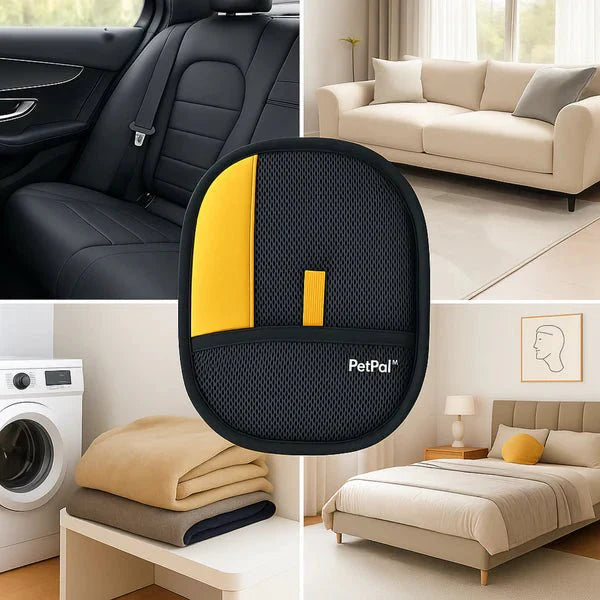 FurVanta™ — Verwandeln Sie die Pflege in eine beruhigende, haarfreie Bindungserfahrung