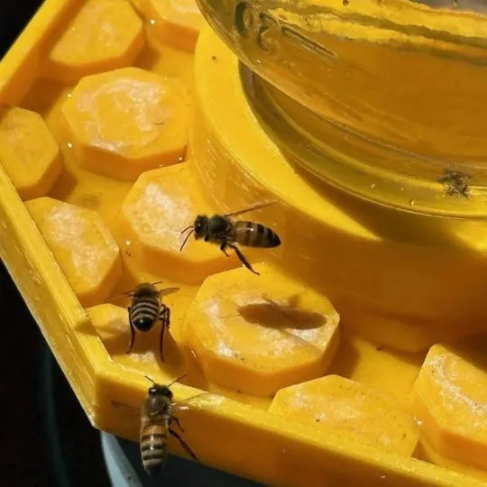 BuzzBloom – Dekorativer Bienen-Wasserplatz für Gärten