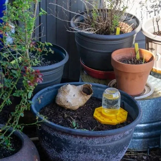 BuzzBloom – Dekorativer Bienen-Wasserplatz für Gärten