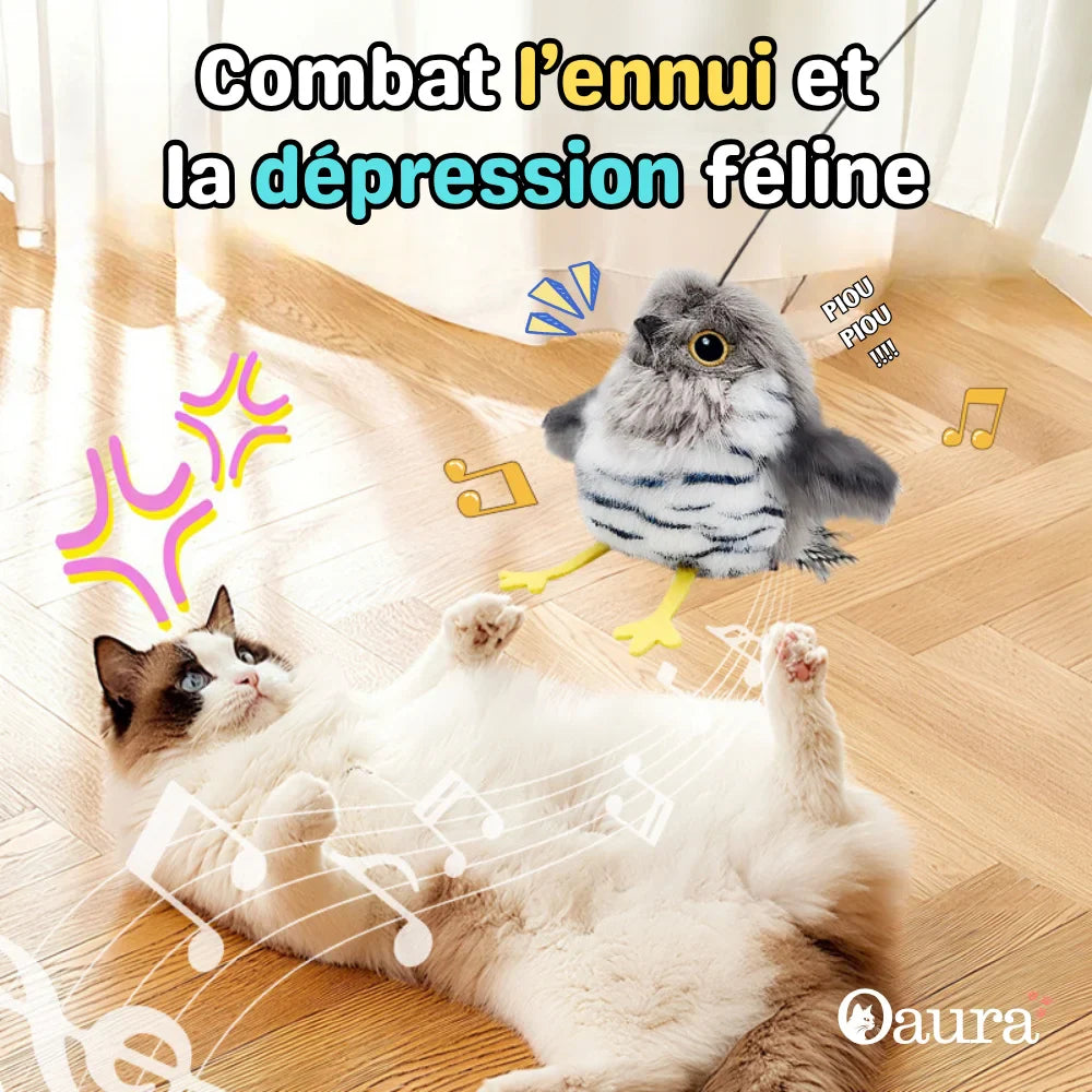 Interaktives Katzenspielzeug Vogel - Pioucat