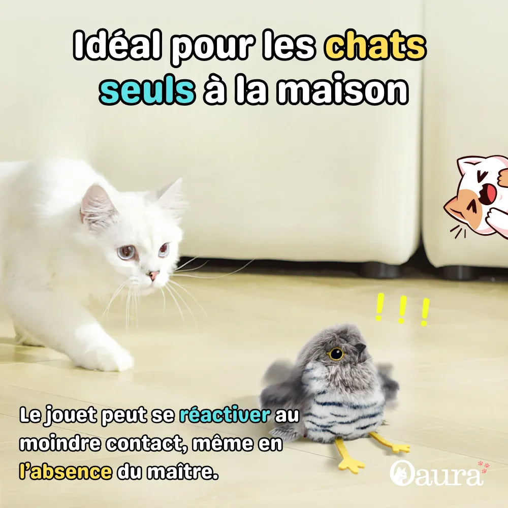 Interaktives Katzenspielzeug Vogel - Pioucat