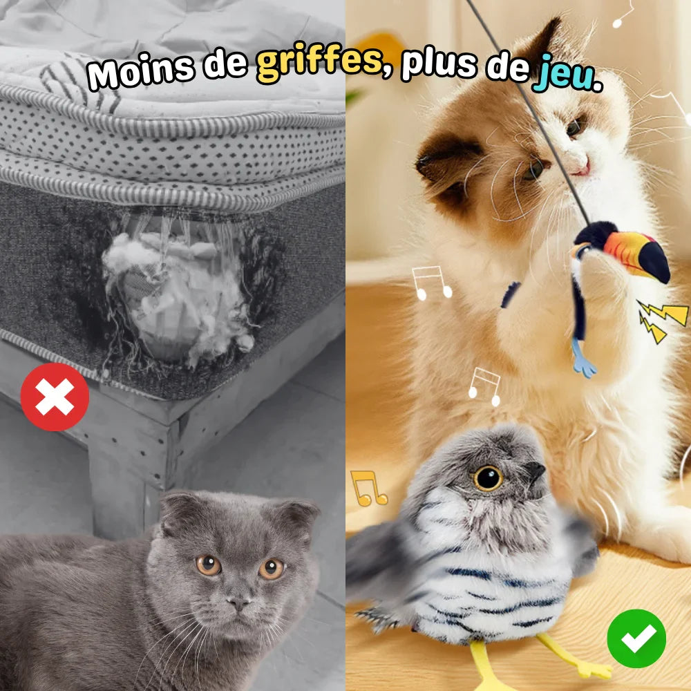 Interaktives Katzenspielzeug Vogel - Pioucat