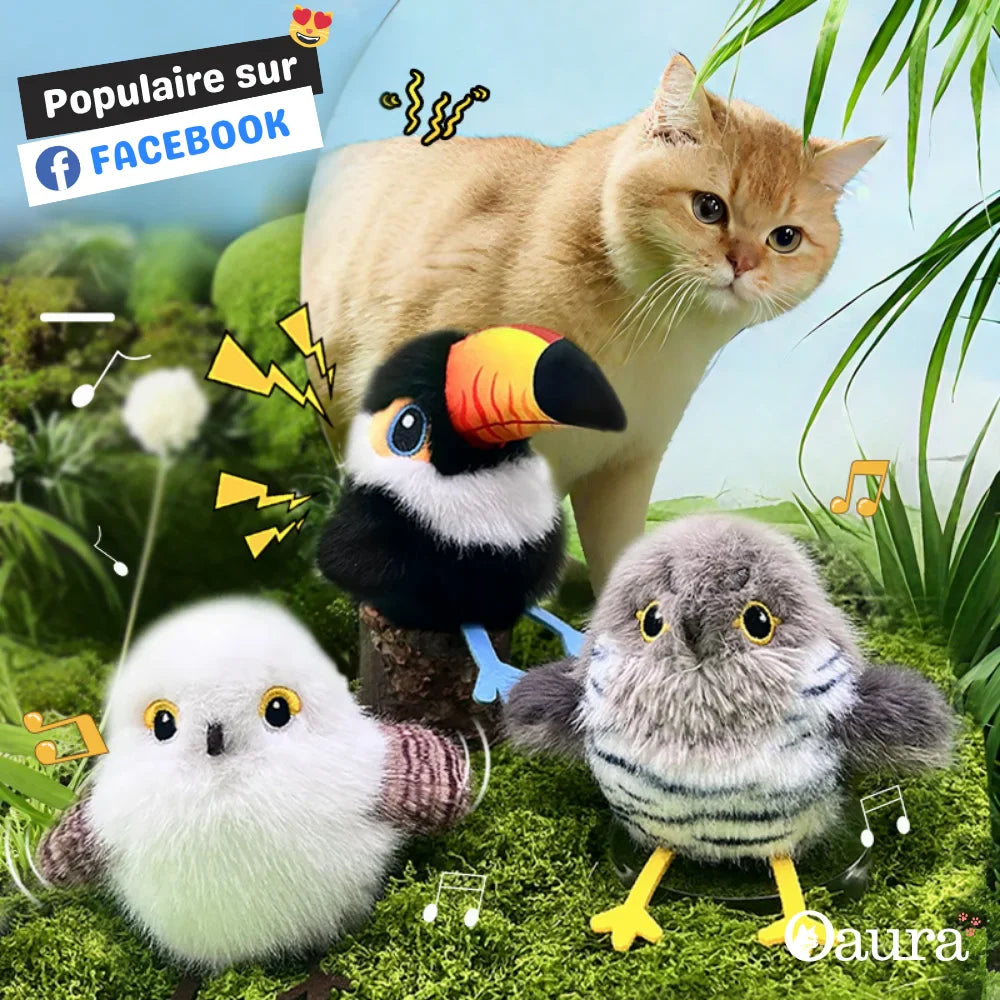 Interaktives Katzenspielzeug Vogel - Pioucat